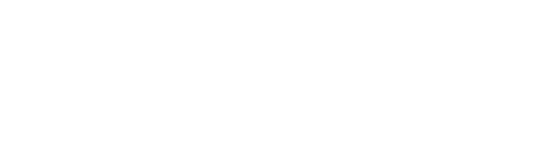 Logo Footer